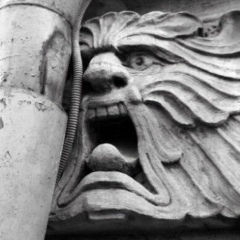 Александр Мкртес, Владивосток