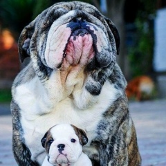 Роман , 10.02, Ялта