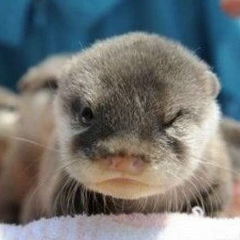 Александр С, Харьков