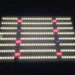 Максим Светлов, 01.11, Санкт-Петербург