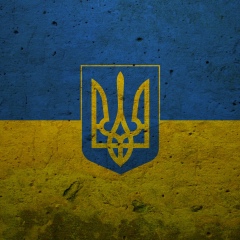 Володимир Чубенко, Киев
