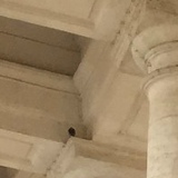 Adlet Yesmambetov, 24.02.1992