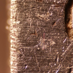 Миша Дорогань, 01.02.1989, Санкт-Петербург