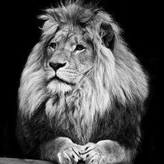 Алмаз Кунакпаев, 26.07, Павлодар