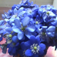 Карина Артемьева, 05.07, Выборг