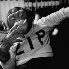 Вадим Нуров, 16.11.1990, Владивосток