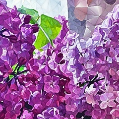 Tati Hrkh, Минск