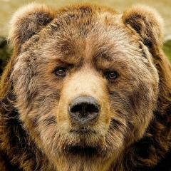 Алексей Поляков, 22.06, Санкт-Петербург