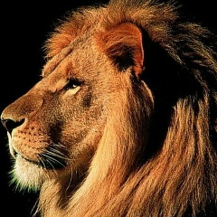 Sandr Ermakoff, 30.07, Москва