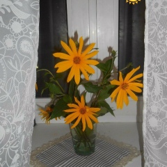 Мама Блин, 11.11