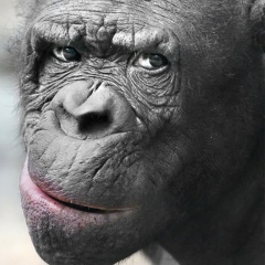 Николай Казаков, 09.05.1945