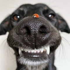 Марина Савельева, 25.04, Москва