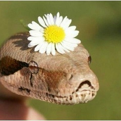 Эля Ткачук, 09.04, Одесса