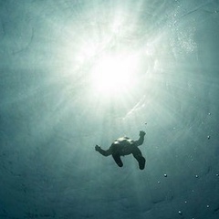 Daniyar Bertleuov, 28.09, Актобе