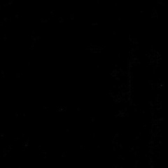 Christian Buchner, 14.04, Halle (Saale)