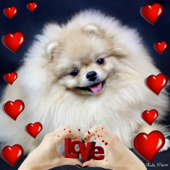 Анастасия Балабанова, 19.06.1975, Санкт-Петербург