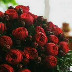 Айзад Шерманова, 08.02.1981