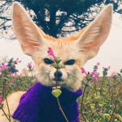 Валерия Белякова, 15.03, Красноярск