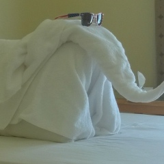 Анастасия Иванова, 17.12.1987, Санкт-Петербург