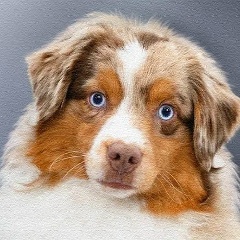 Вячеслав Чебулаев, 10.01.1961, Москва