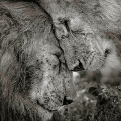 Елена Слепухина, 04.07.1983, Санкт-Петербург