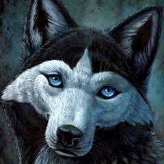 Игорь Каминский, 15.02.1985, Киев