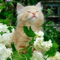 Александра Миловидова, 11.06.1991, Sydney