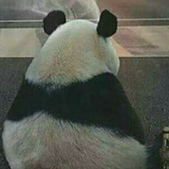 Николай Вергун, 12.04.1988, Калининград