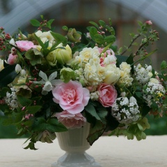 Дарья Пинюгина, 07.03.2006