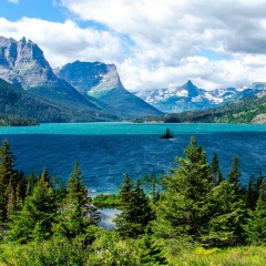 Наталья Бардина, Москва