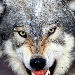 Ильдар Тимиргазин, 22.04.1986, Уфа