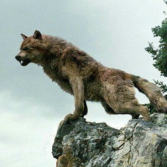 Асвад Нагаев, 01.01.1995, London