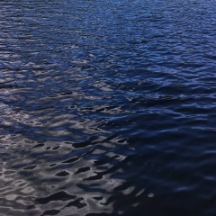 Валентин Valentin, 11.01, Киев