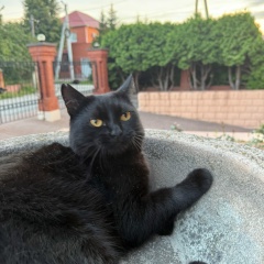 Сергей Иванов, 01.07.1993, Ульяновск