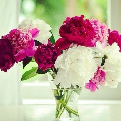 Салтанат Сейтказина, 08.01.1987, Усть-Каменогорск