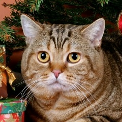 Наталия Юсупова, 09.09.1982, Санкт-Петербург