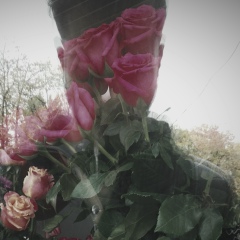 Максим Дрозд, 25.01.1999, Чернигов