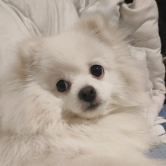 Ольга Куликова, 03.02, Пенза