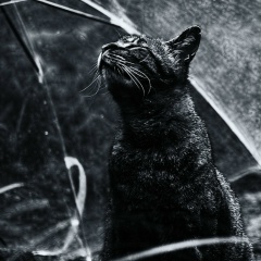 Дмитрий Потапов, 20.12.1991