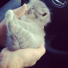 Индира Мужанова, 19.07.1986, Экибастуз