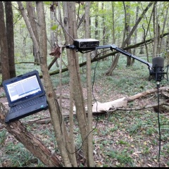 Алексей Супонев, 22.05.1986, Омск