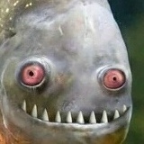 Рома Дворянин