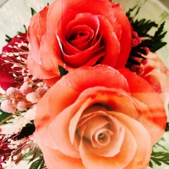 Армине Бахшян, 15.04, Ереван