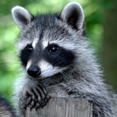 Вадим Кулага, 04.09.1989, Житомир