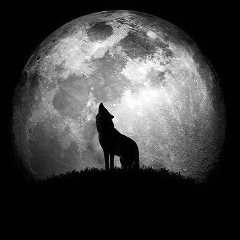 Булчаев Абу-Бакар, 21.07, Грозный