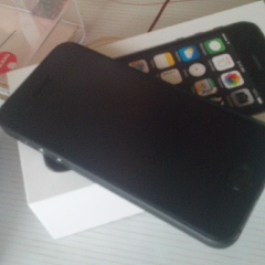 Исмаил Гулиев, Салехард