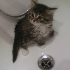 Галина Доля, Москва