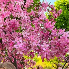 Наталья Липснис, 03.01.1986, Санкт-Петербург