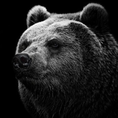 Артур Рахимжанов, 11.06.1992, Шымкент