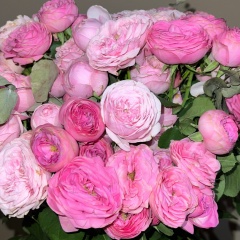 Гульзат Камысбекова, 28.10.1994